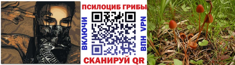 Псилоцибиновые грибы мицелий  Купить  Маркс 